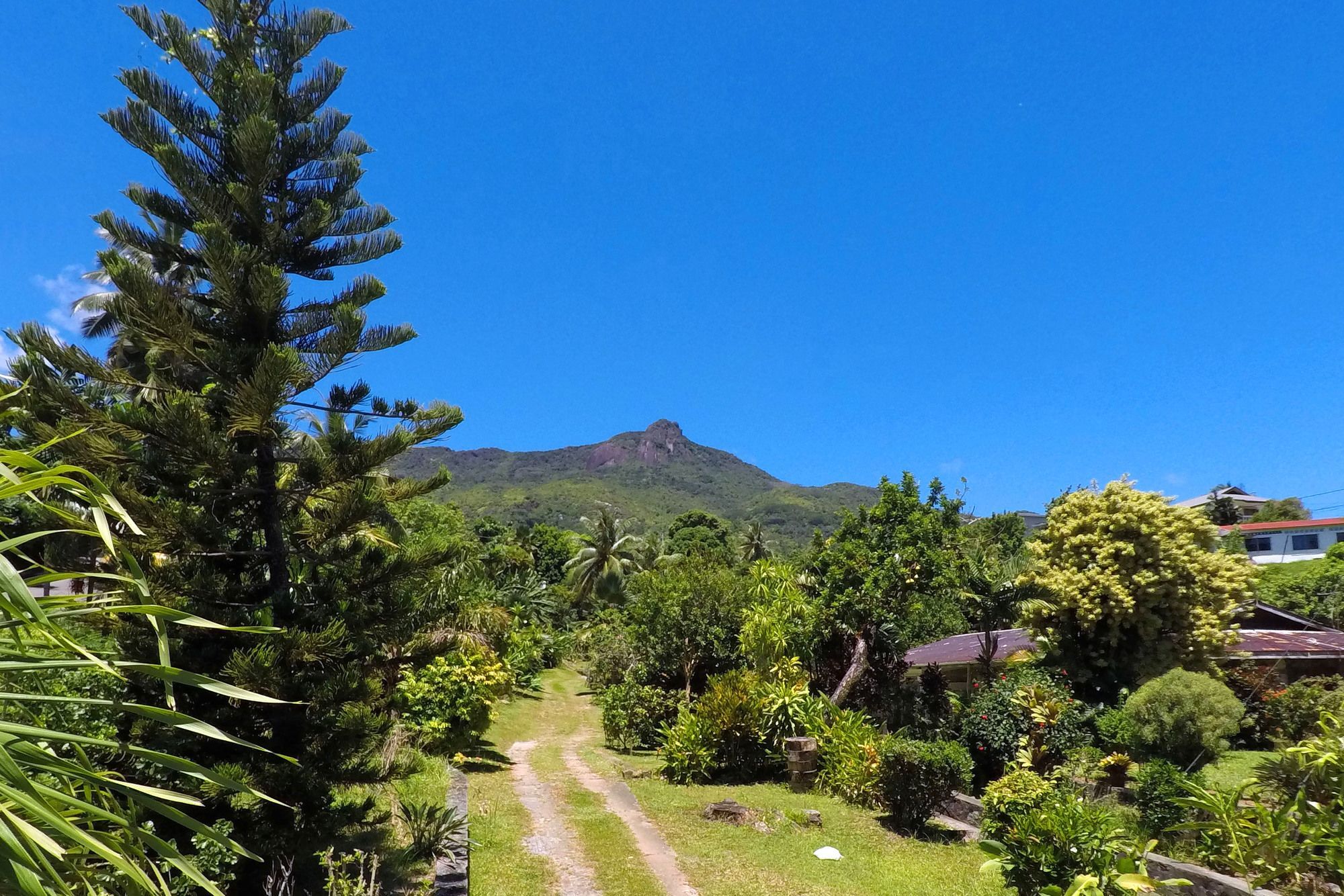 Chateau Elysium Beau Vallon  Buitenkant foto